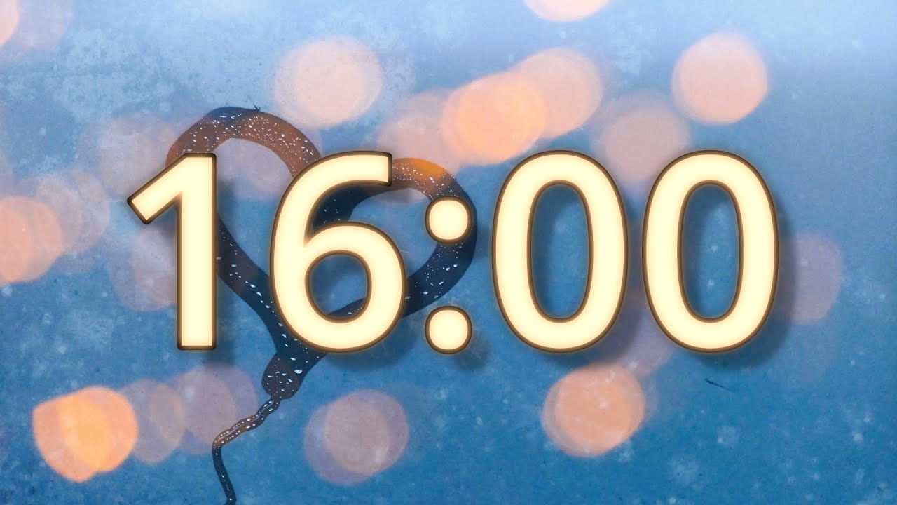 16 Minute Timer | Valentine's Day Timer