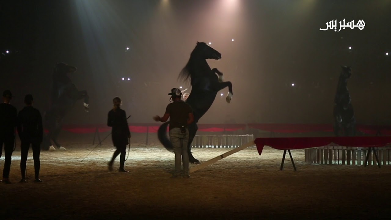 مشاهد رائعة من العروض الفنية للخيل بمعرض الفرس بمدينة الجديدة