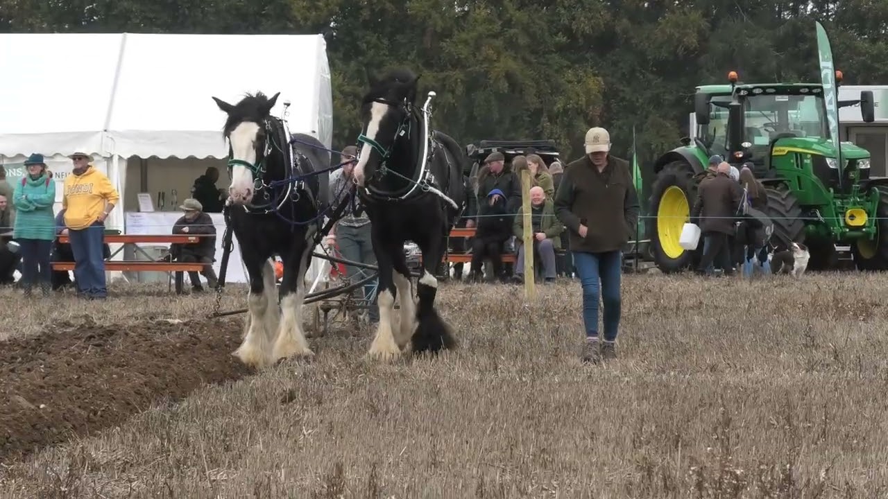 Newbury Ploughing Match October 2025. Tractors, Horses and more Tractors ! Part 2