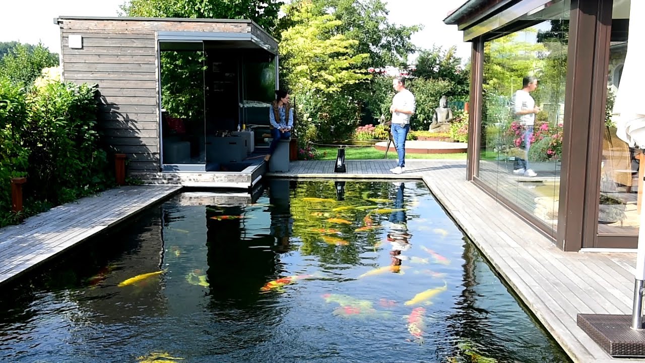 Modern Koi Blog #1161  - Was ist geeignetes Winterfutter