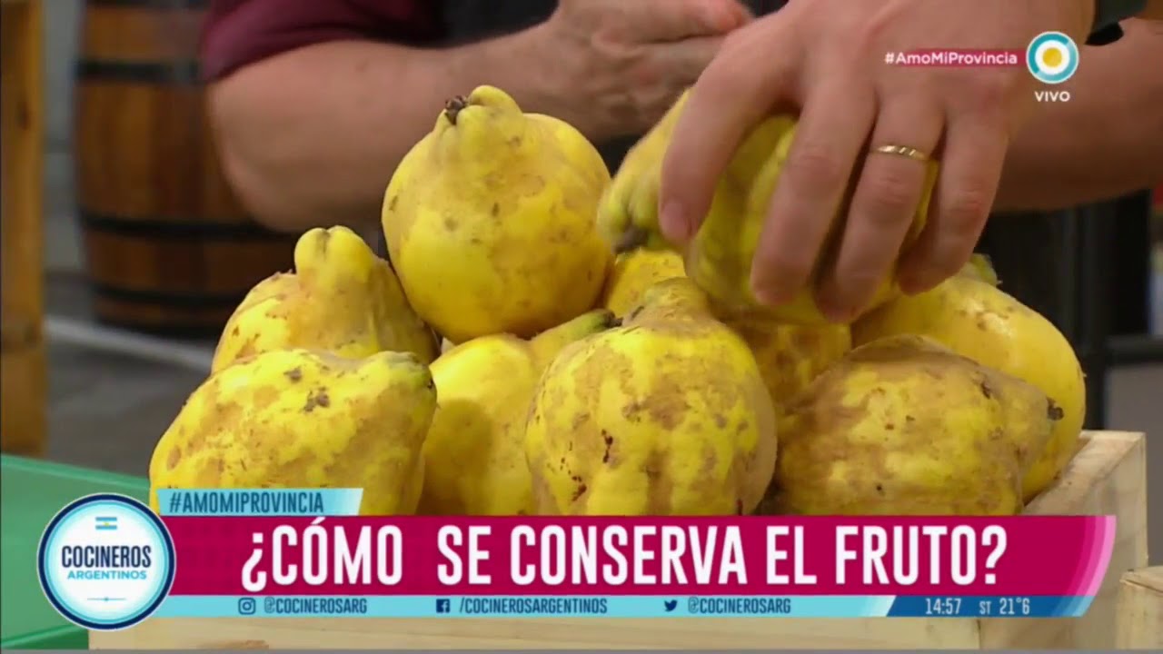 Membrillo, un fruto que tenés que conocer