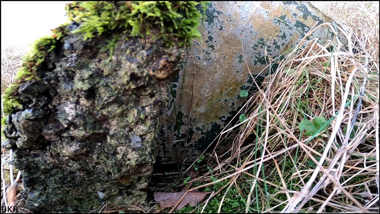 ABANDONED Scottish Nuclear Bunker Location - BRECHIN