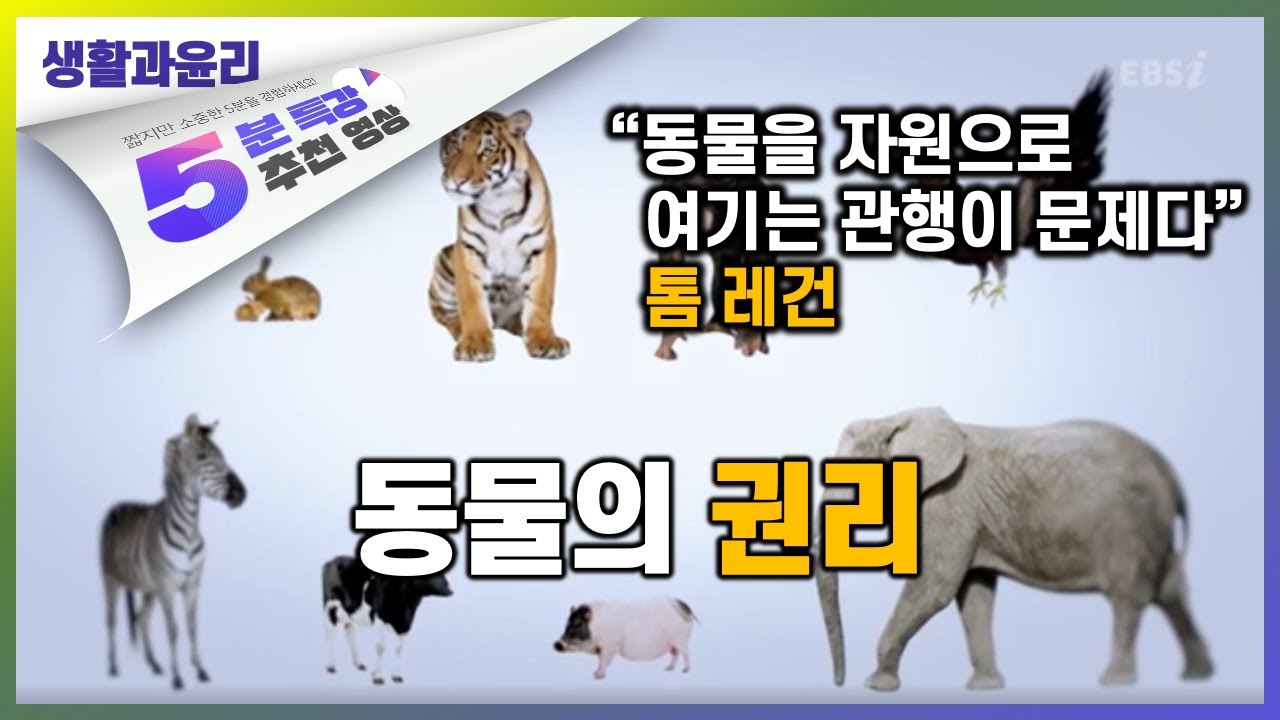 동물에게는 권리라는 것이 없는 것일까  | 5분 특강, 세상을 움직이는 생각