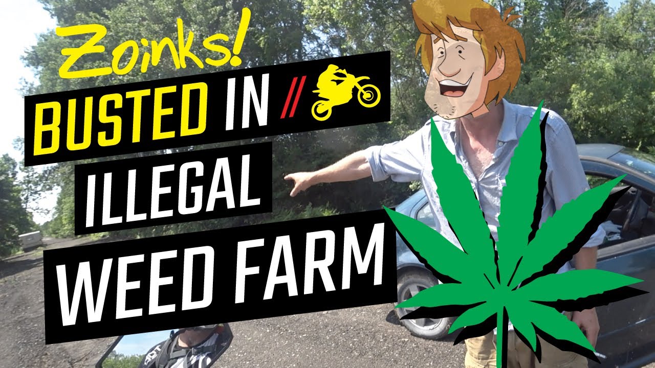 WE GOT CAUGHT! Busted on a Weed Farm Grow Opp | Dual Sport Motorcycle Riding KLR650 DT200R