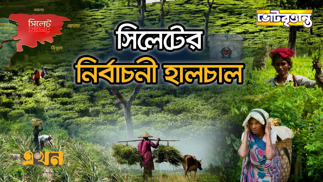 চায়ের দেশ আর তাঁর শ্রমিকদের ভাগ্য বদলাবে কে? | Vote Brittanto | Election | Sylhet | Ekhon TV