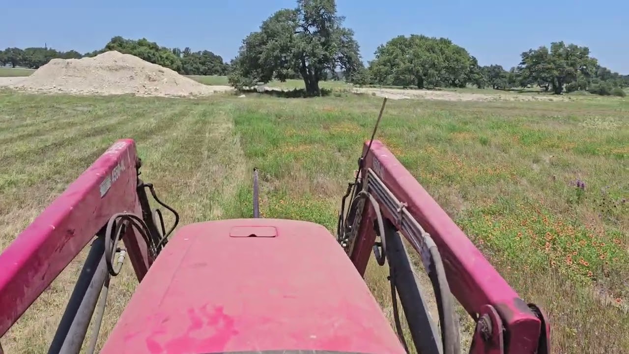 Cutting the grass