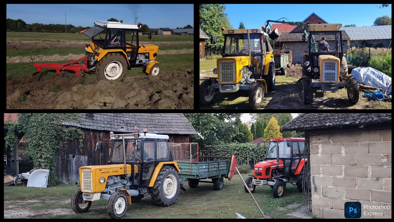 Orka łąki 2025/ Ursus C-360/ pług 3-skibowy/kamienie w oborniku?!/ rozrzucane obornika