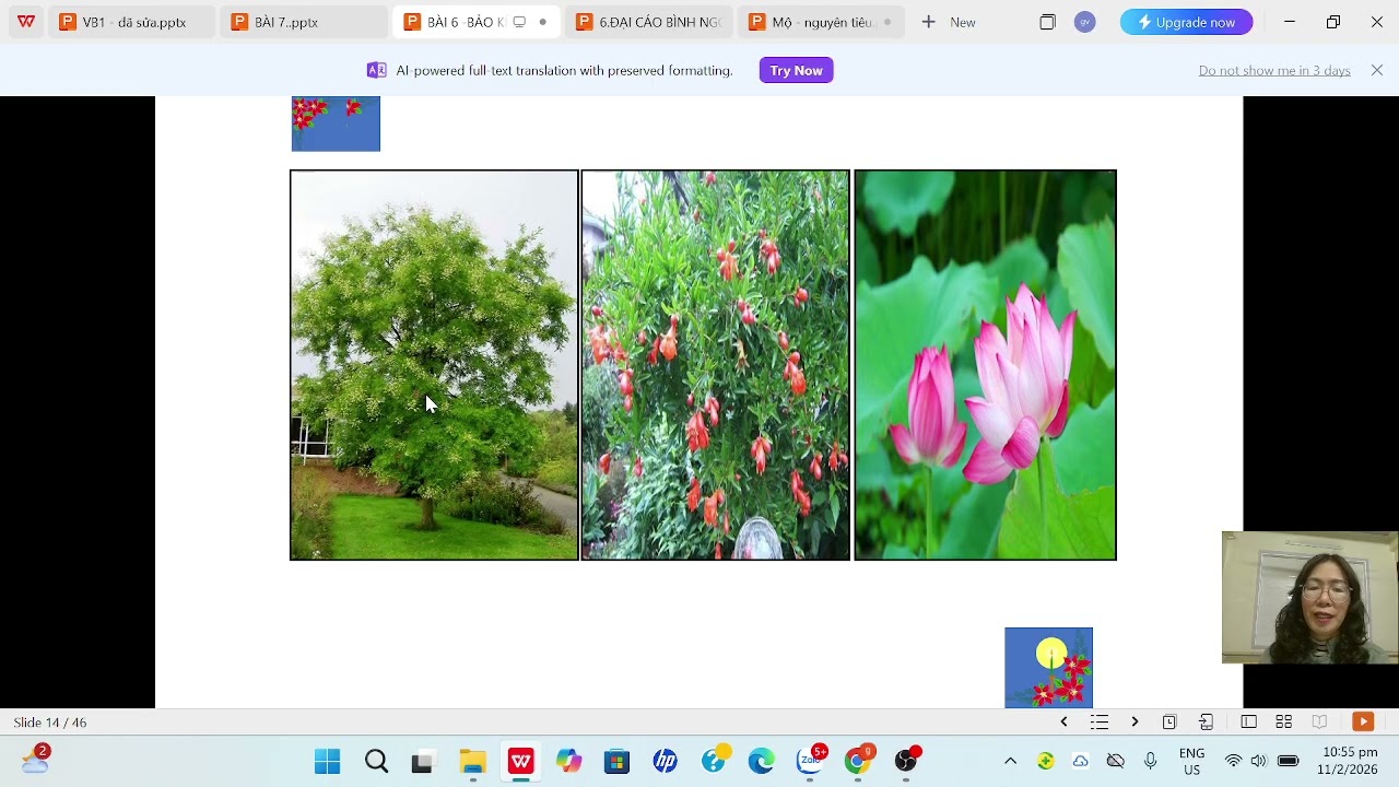 Bảo kính cảnh giới, bài 43