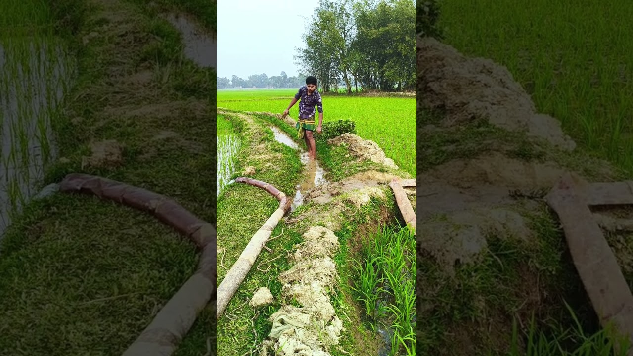 #funny ,🥺🥺😱ম