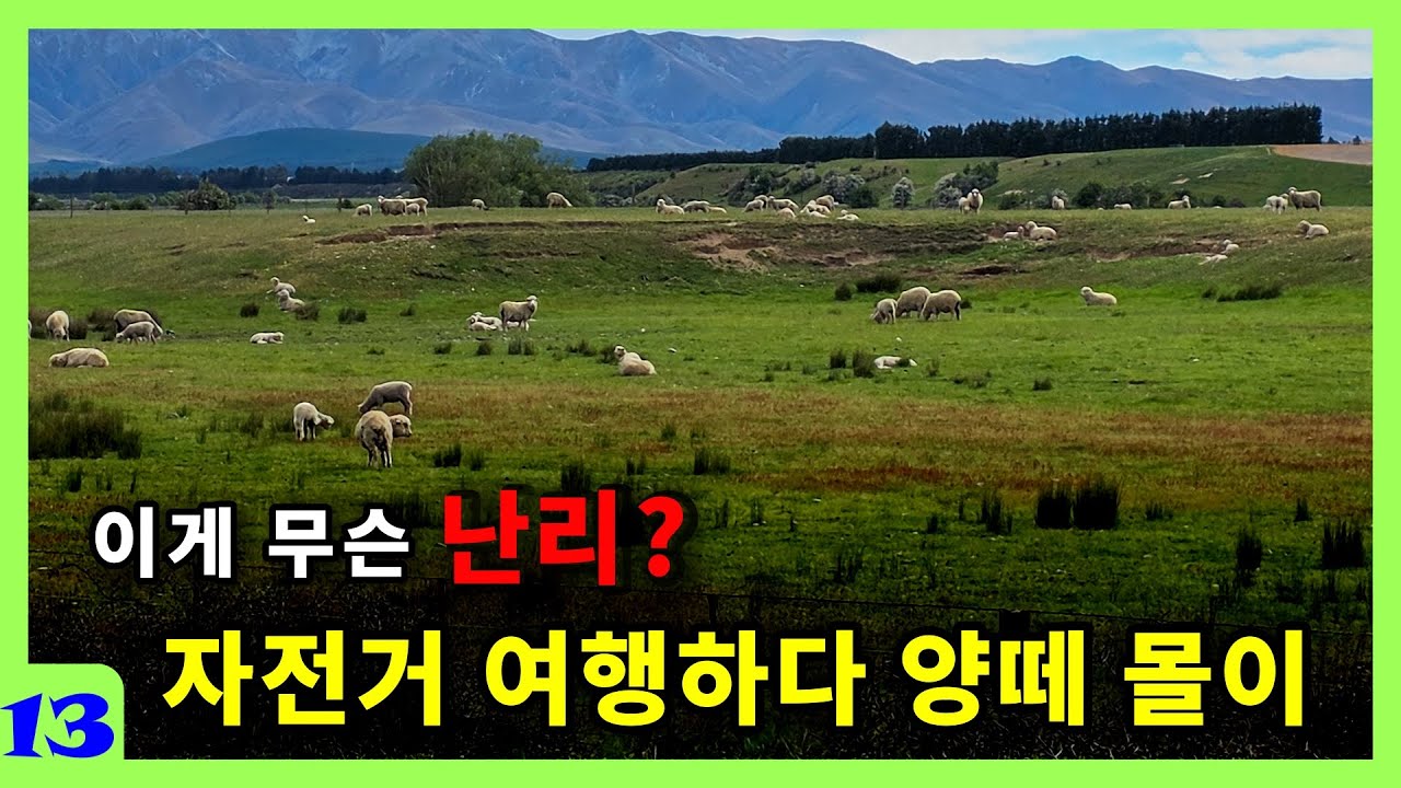 NZ13 방심 한 번에 대참사! ; 산에서 길 잃고 목장 침입하고 양 몰이하고
