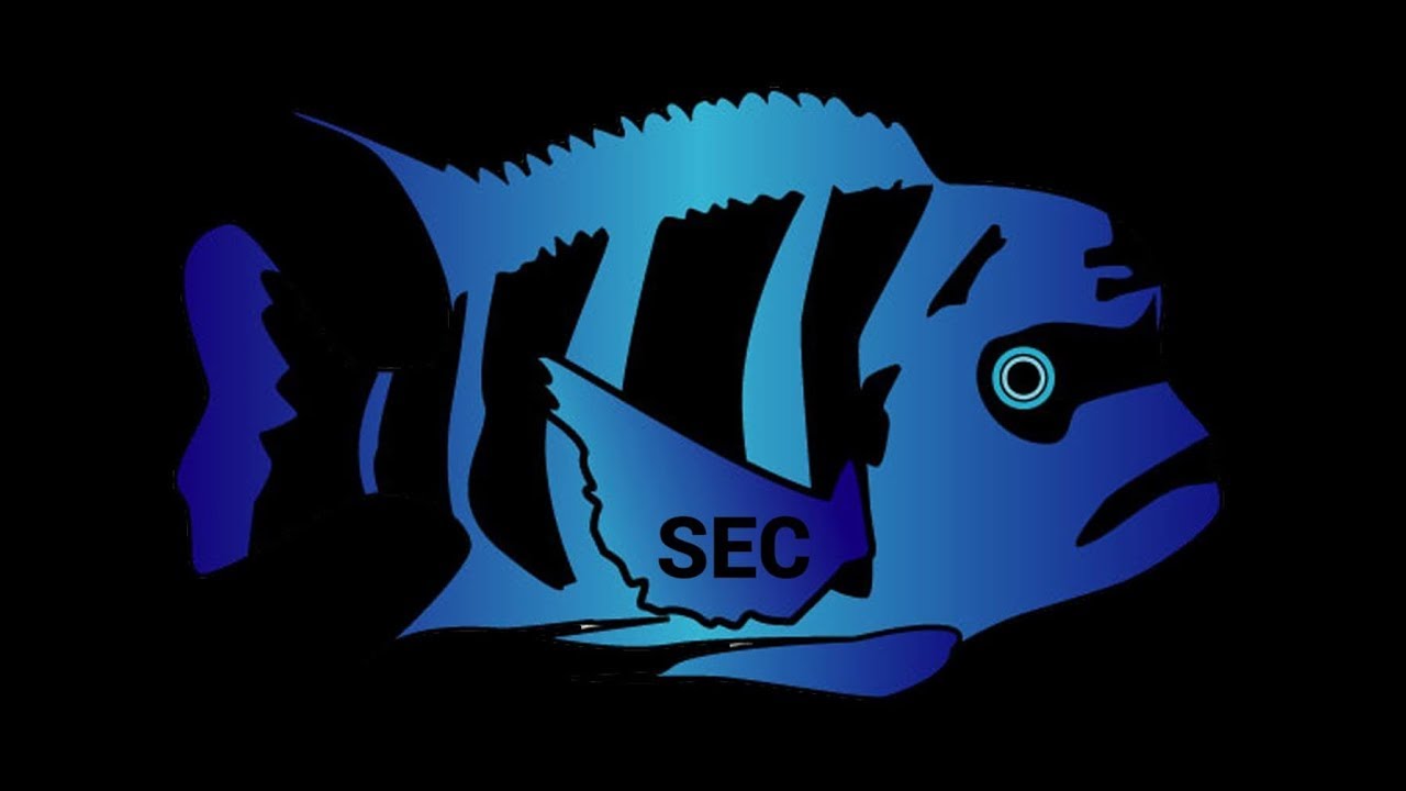 Southeast Cichlids Re-Launch announcement!!!