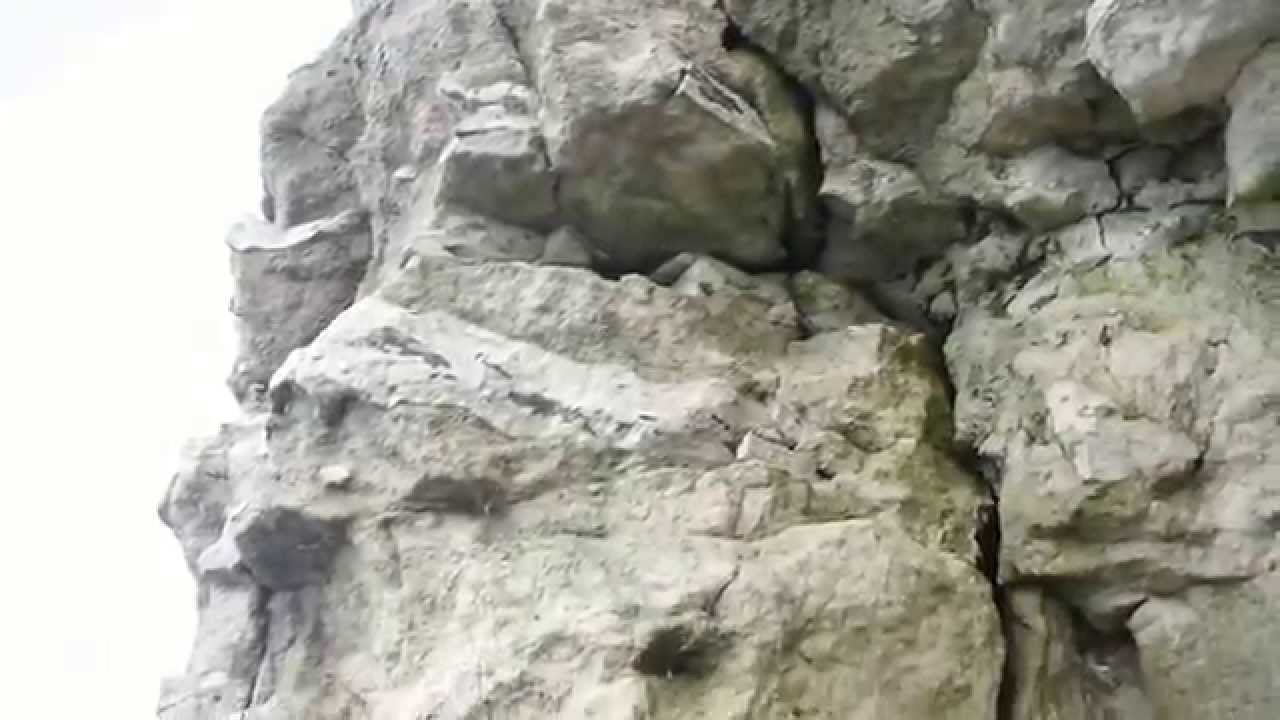 Find Forsteninger i Klinterne/ På Opdagelse Djursland/ Efterår 2013