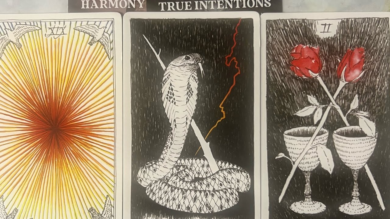 THIS PERSONS ALWAYS HAD INTENTIONS ON RECONNECTING W/🫵U ❤️AFTER BEING SEPARATED WORRIED LOST CHANCE💌