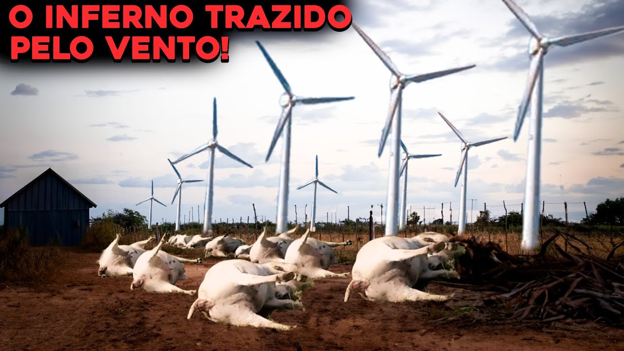 PORQUE TORRES EÓLICAS ESTÃO ACABANDO COM SÍTIOS E MATANDO ANIMAIS?