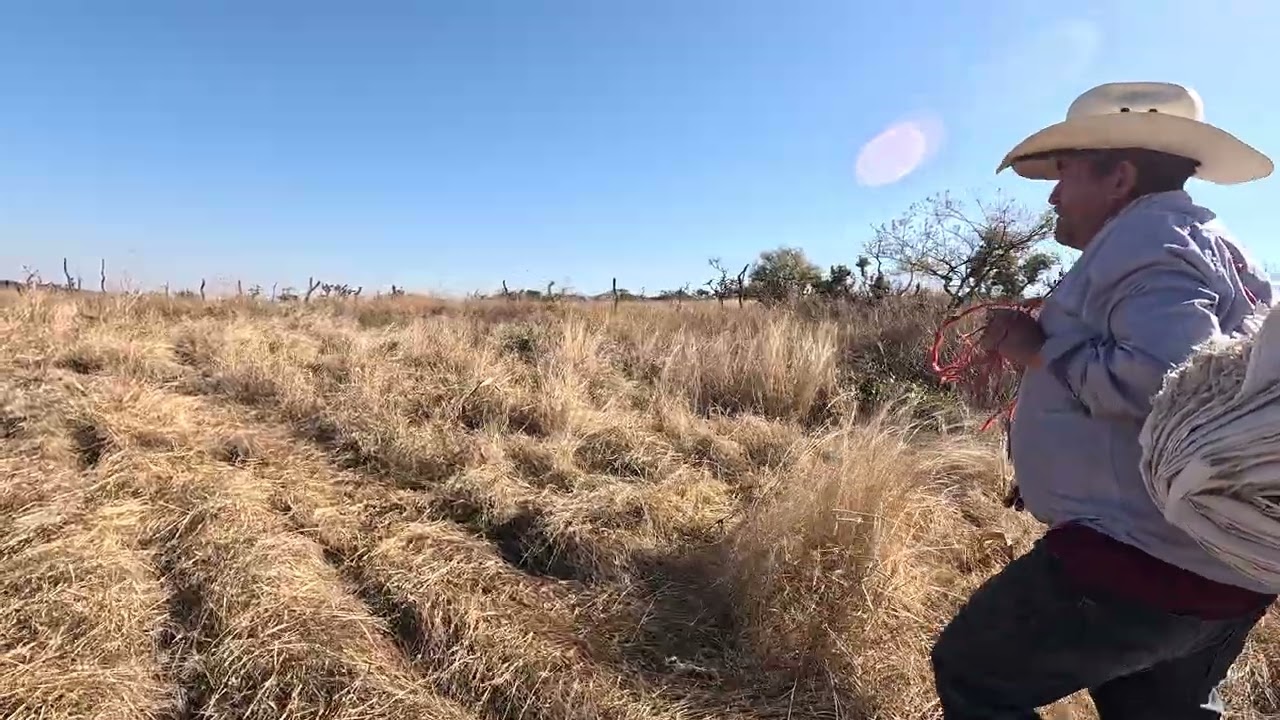 LLEGANDO ALA PISCA