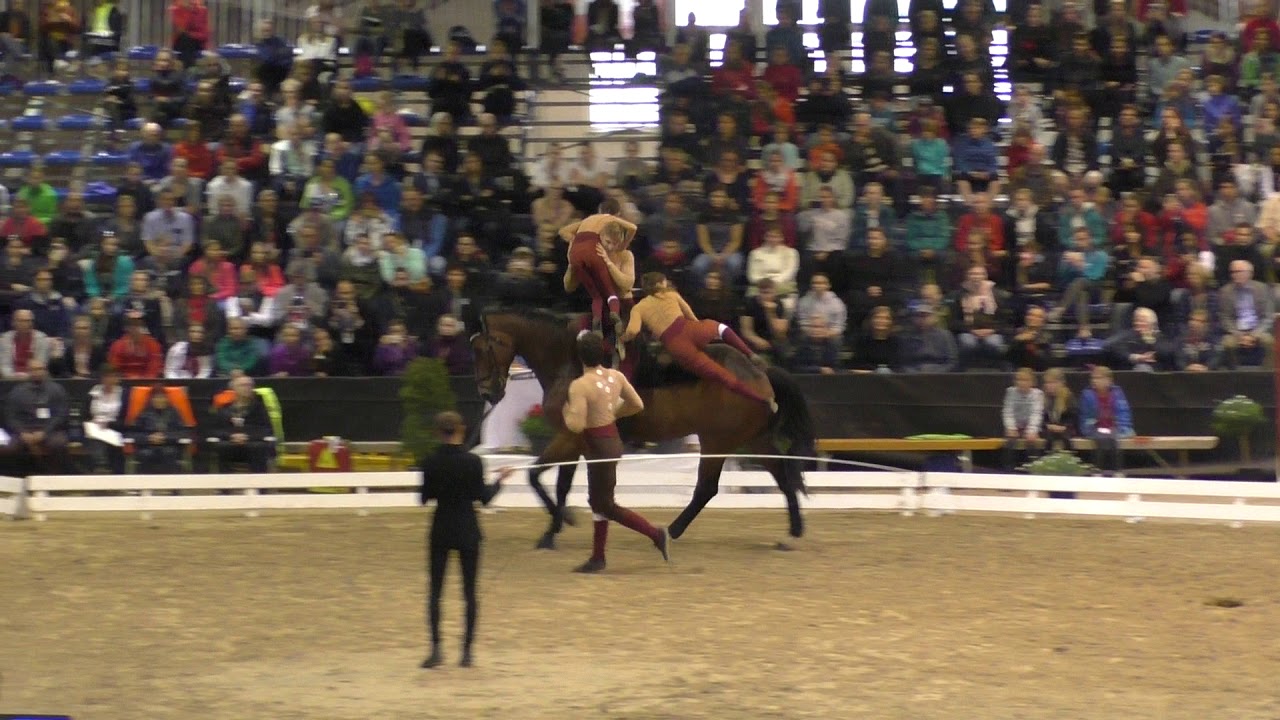 CVI Bern 2019 - Squad Senior CVI3* 1st Place - Noroc 3.0.1