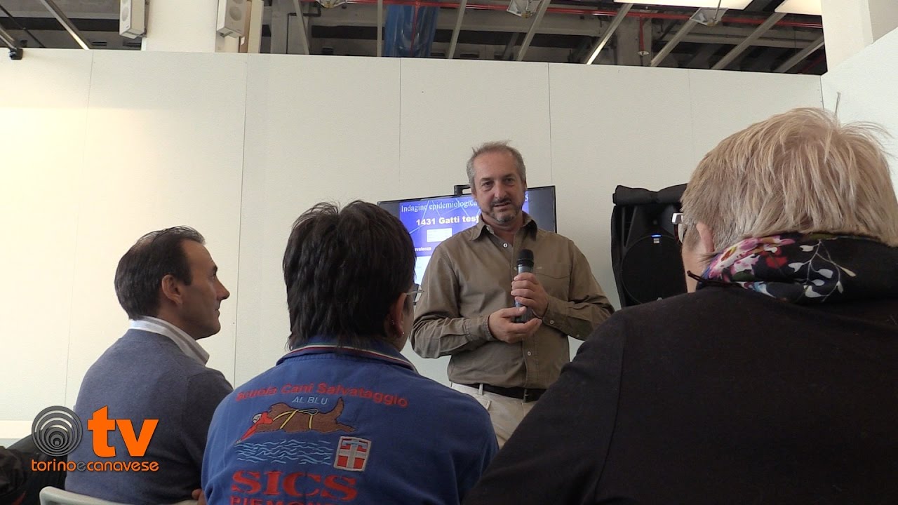 Intervista al dott. Stefano Bo su Fiv e Felv