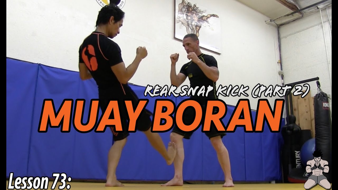 Lesson 73: Muay Boran Front Snap Kick (part 2)