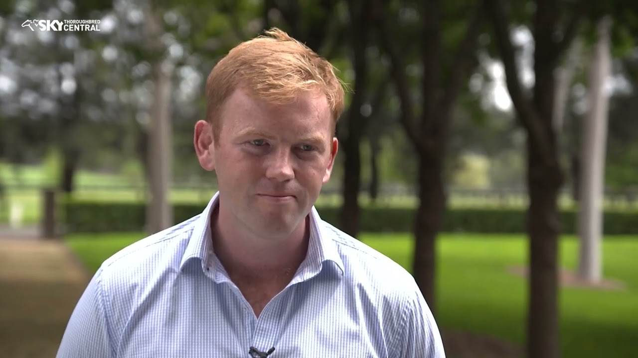 COOLMORE STUD   2022 INGLIS EASTER YEARLING SALE PREVIEW   SEARCYMEDIA