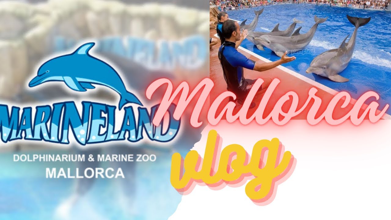 #marineland #mallorca #dolphins show