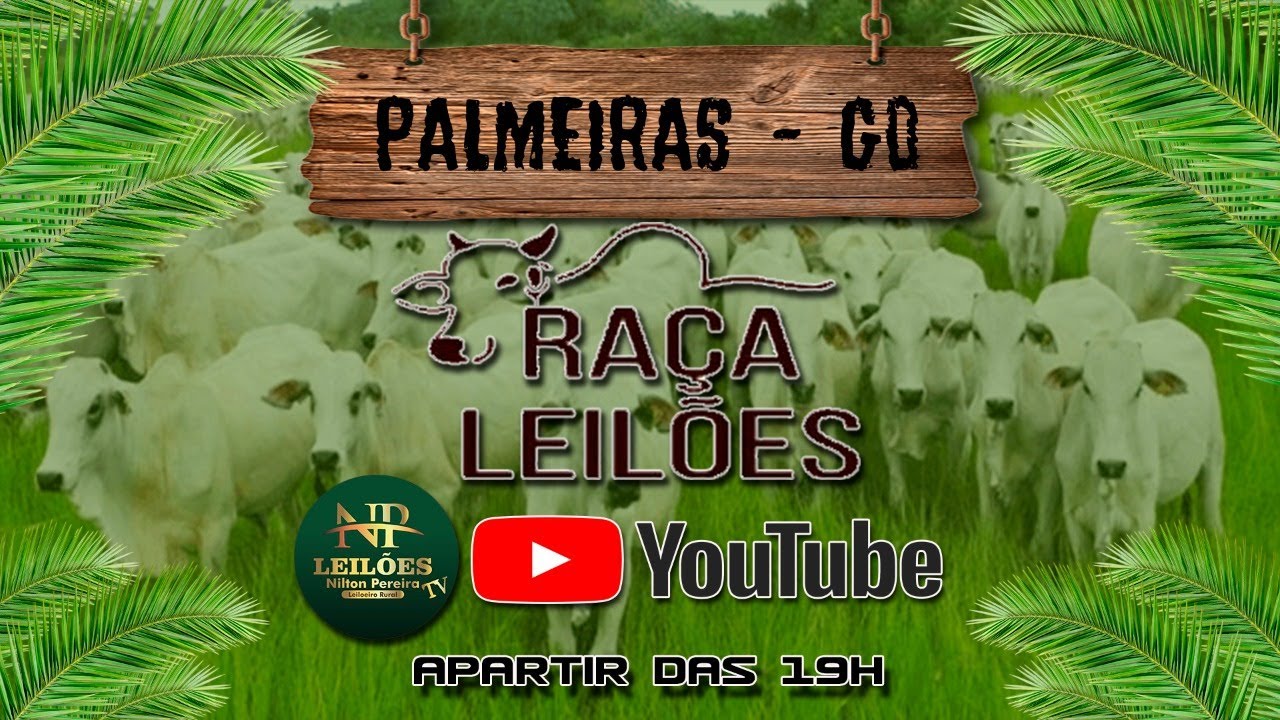 RAÇA LEILÕES - PALMEIRAS DE GOIÁS 09/03/2026