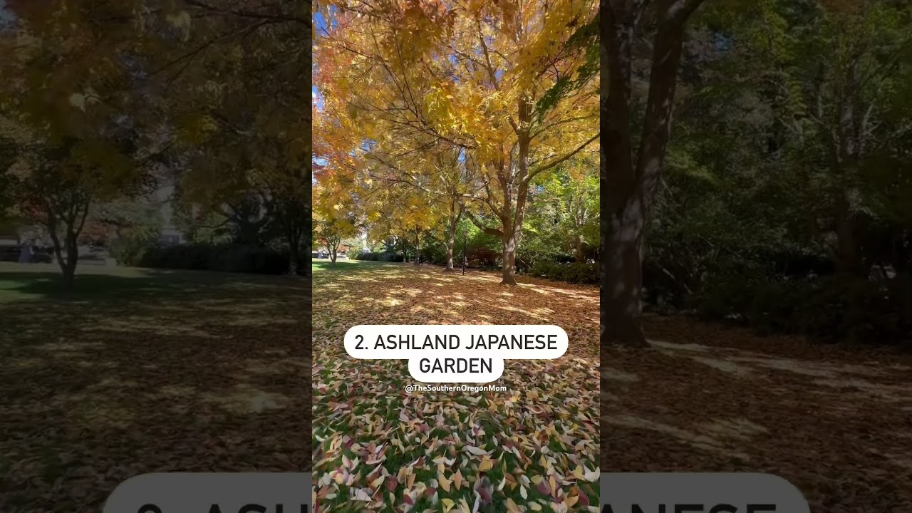 5 Easy Places to See Fall Leaves in Southern Oregon