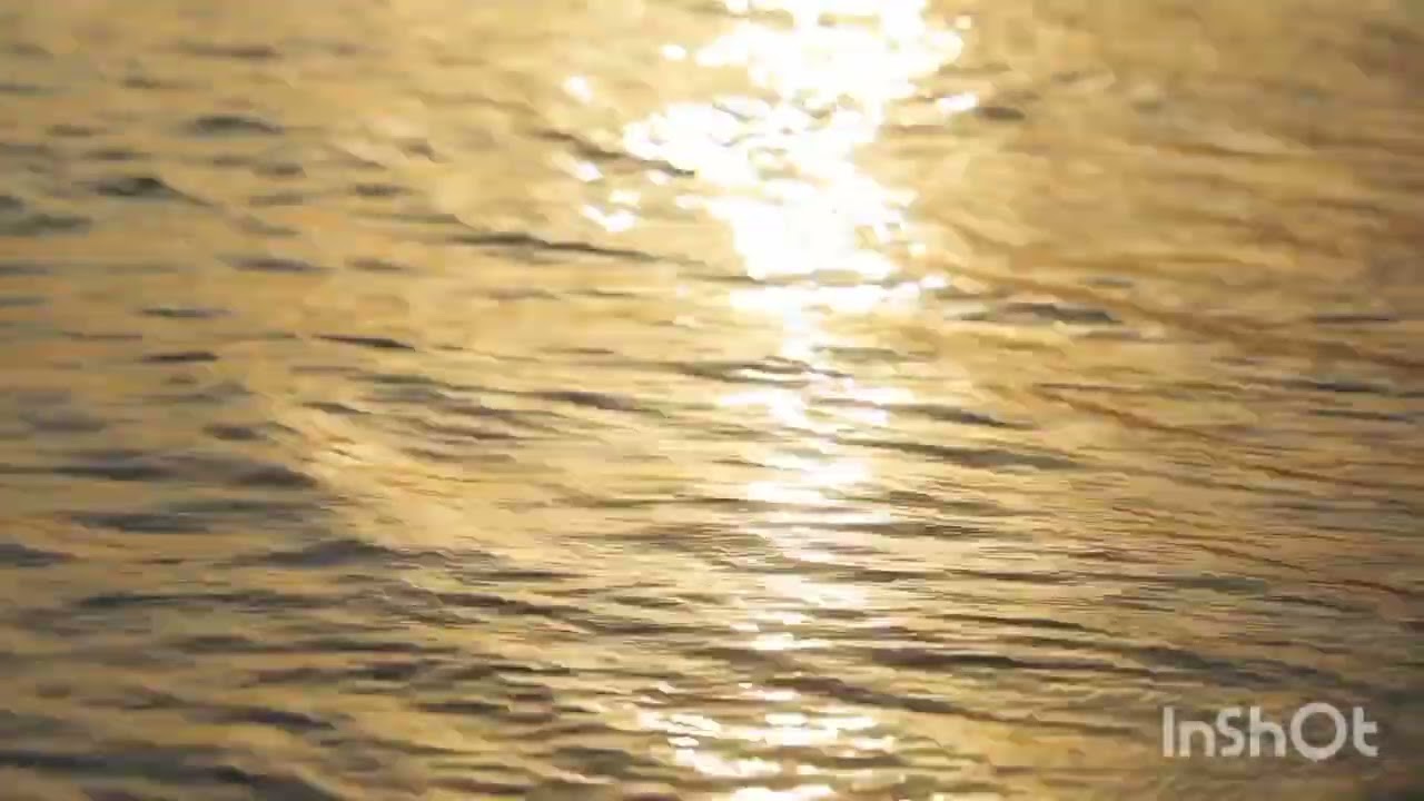 وسواس النية ، ملاحظات قد تغير حياتك معه 