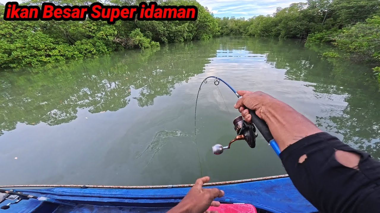 Pemancing Mana Yg Tidak Mau Dapat ikan Besar Seperti ini, ikan Besar Super idaman