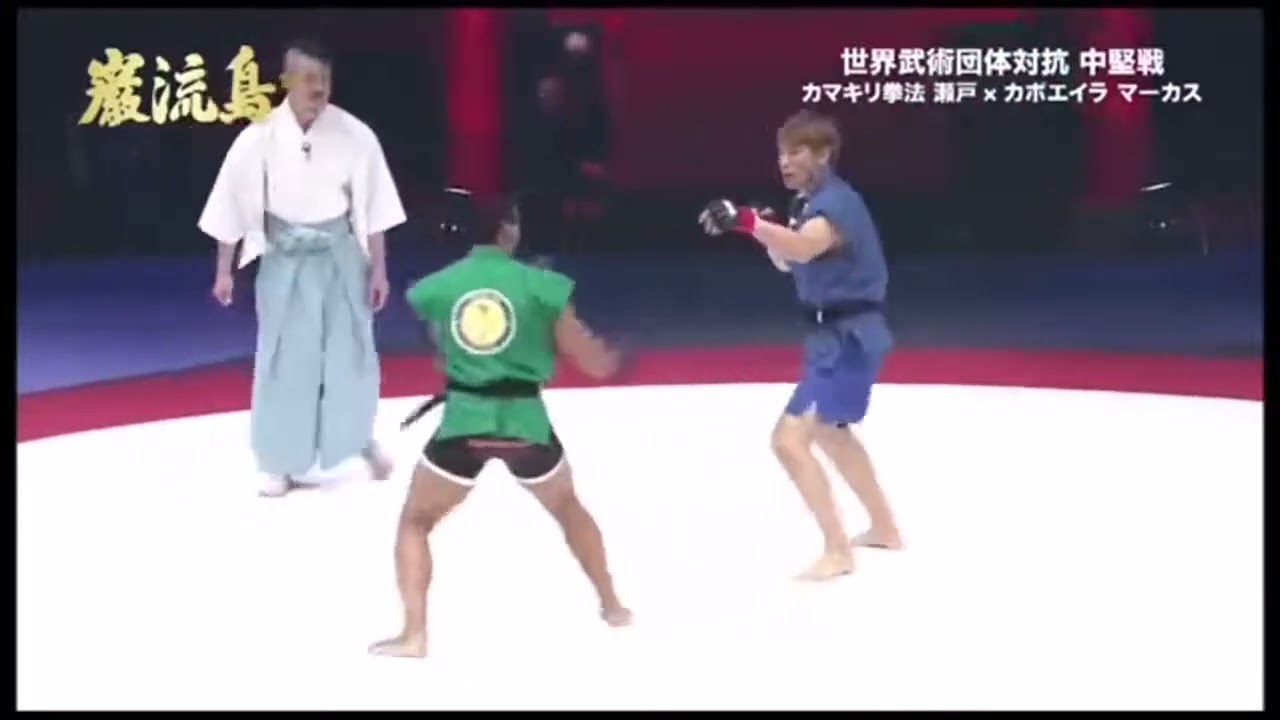 Capoeira vs Karate