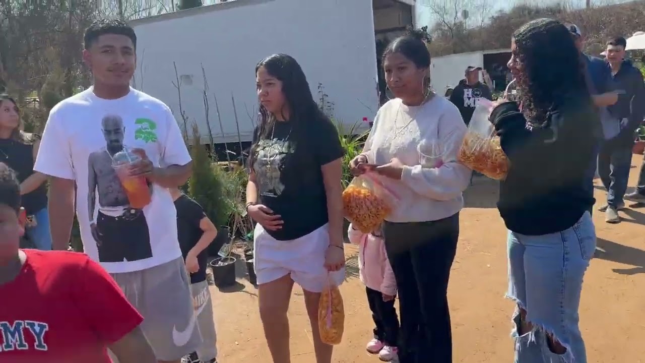 Miren que lindos jinetes bonitos niños
