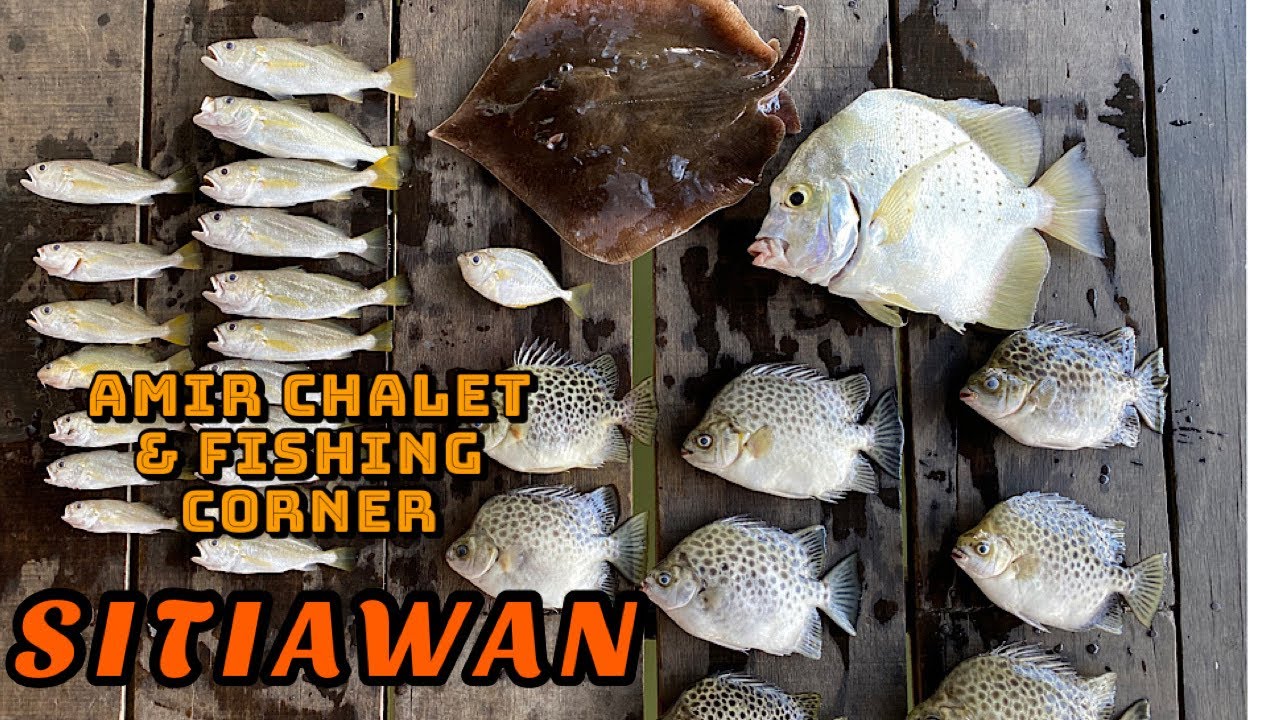 Amir Chalet & Fishing Corner (Sitiawan)- Review 3Hari 2Malam