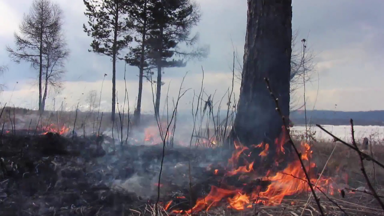 Fire Retardant Gel | The Henry Ford’s Innovation Nation