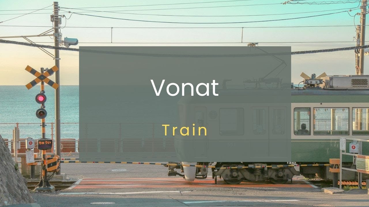 Discover Hungary's Roads | Learn Transportation Vocabulary in Hungarian!🌍🚍