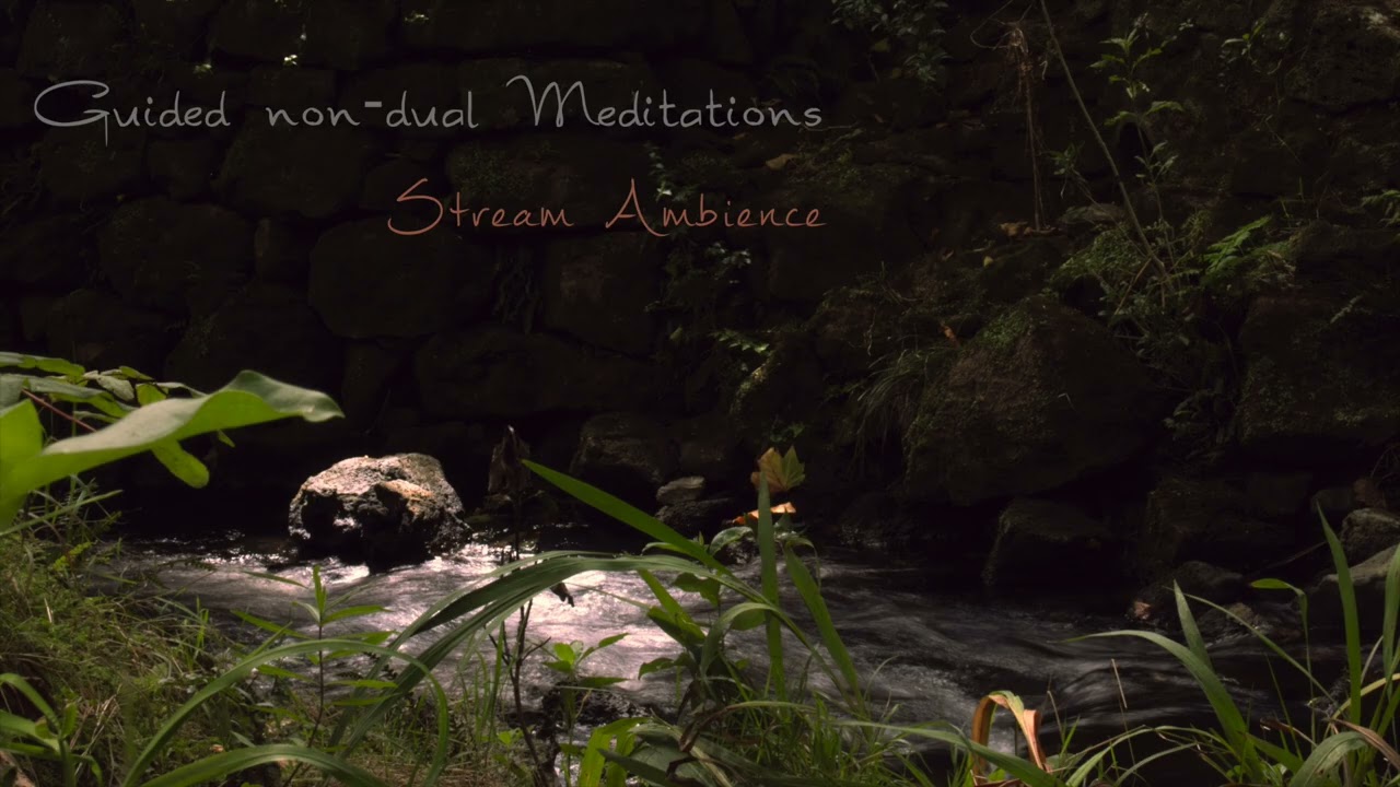 Rest as Awareness | 30-Minute Non-Dual Guided Meditation (Stream Ambience)