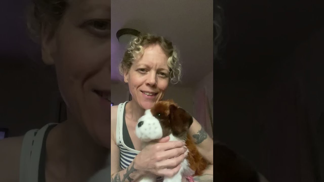 Douglas plush Oma the St Bernard puppy dog