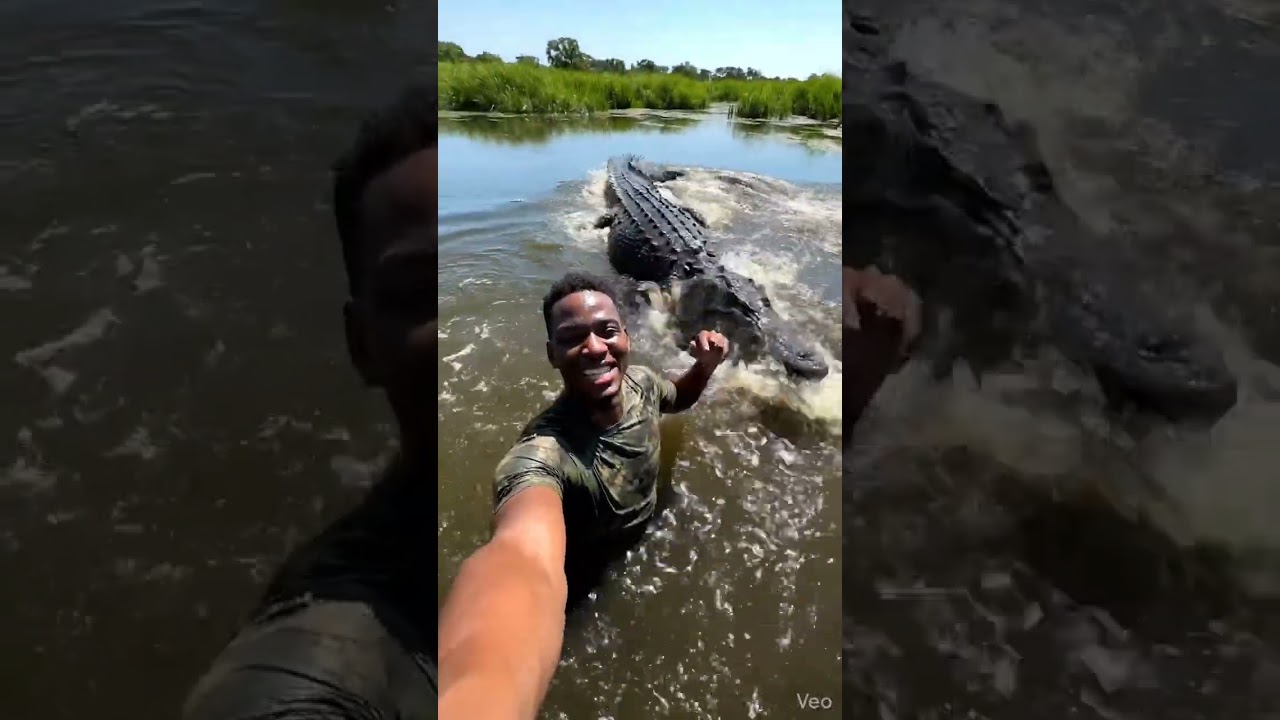 Crocodile Swim Showdown GIANT vs Normal 