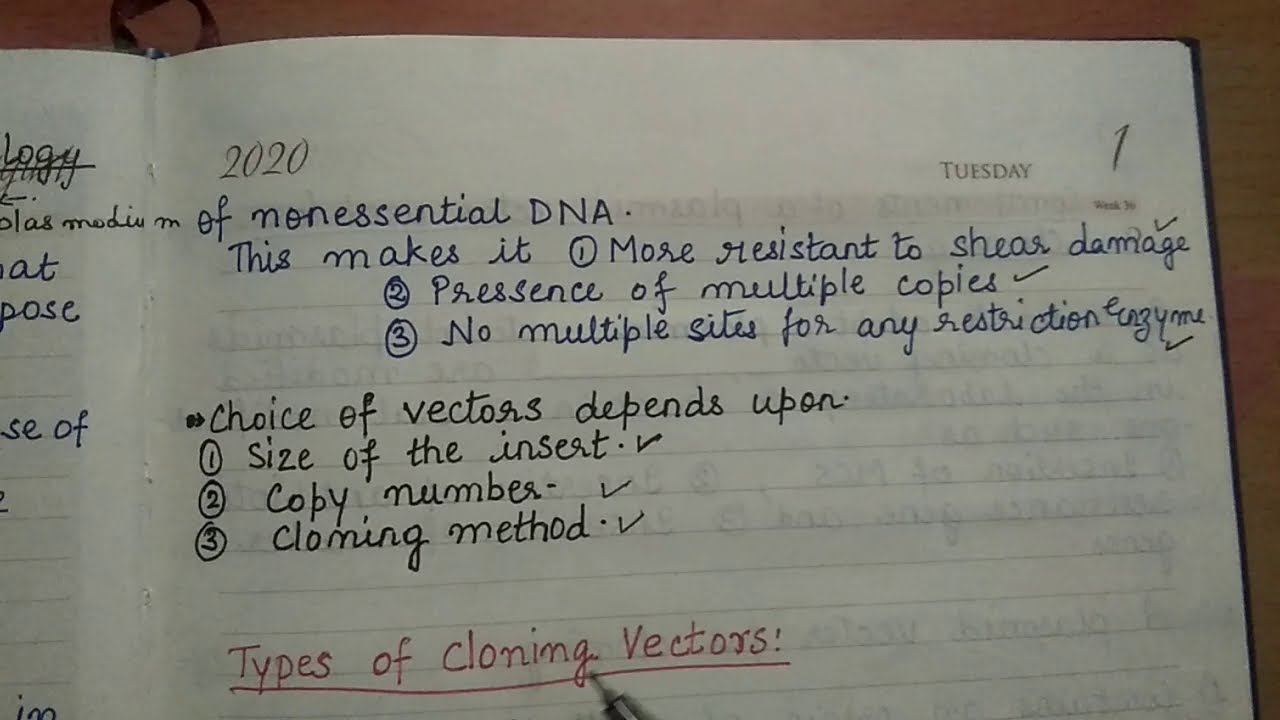 vectors part 1 (plasmid vectors)