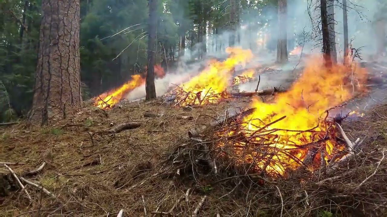 Happy Fire Montage