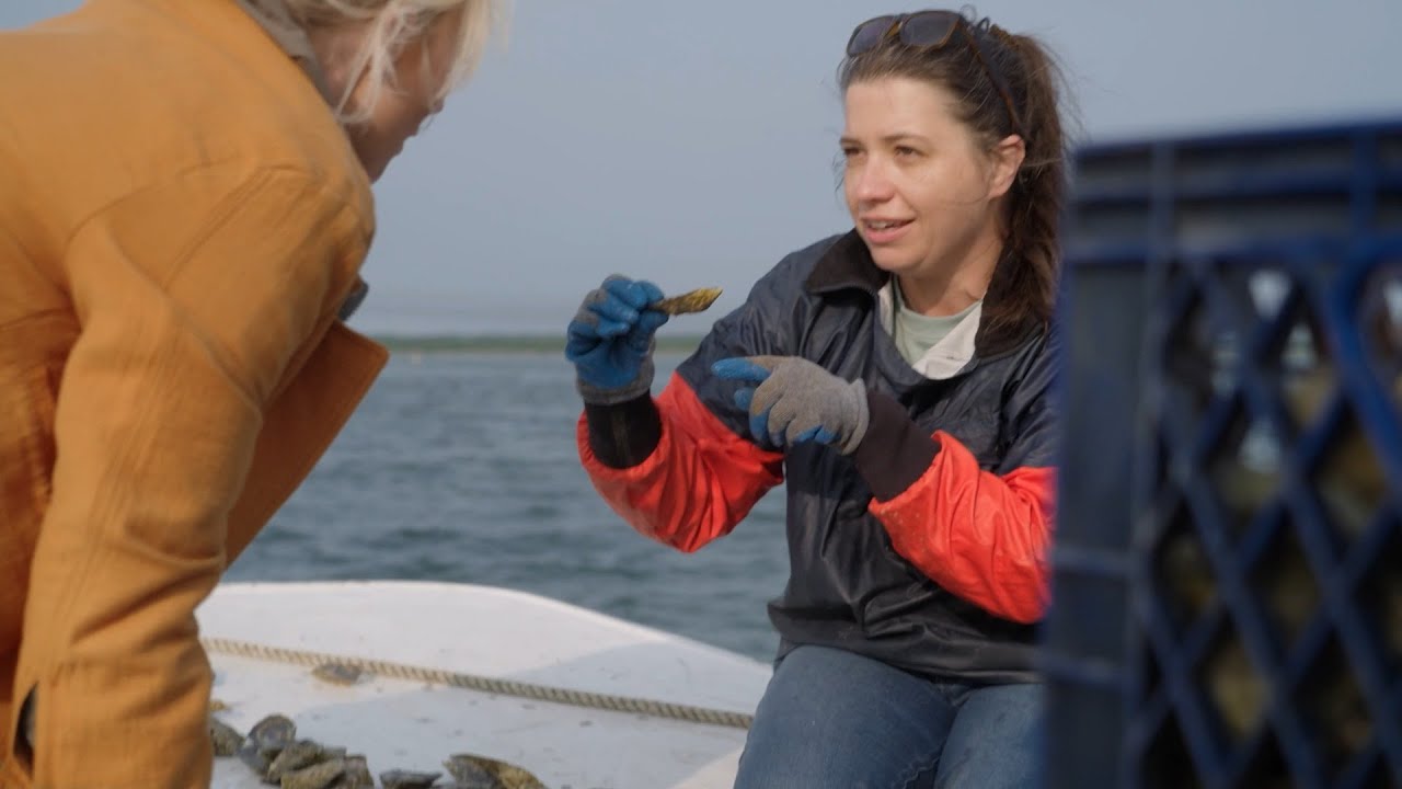 SNEAK PEEK: FarmHER Chloe Starr Shows Kirbe the Method Behind the Oyster Harvest Madness