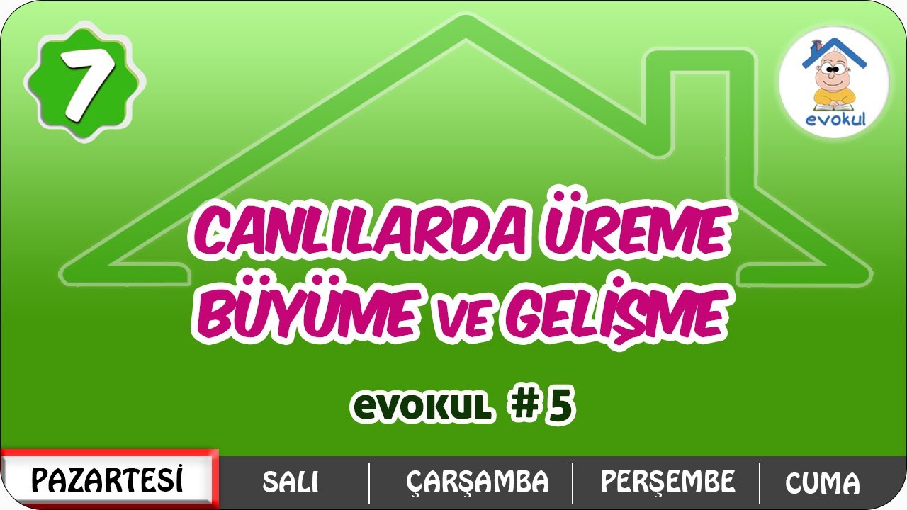 Canlılarda Üreme, Büyüme ve Gelişme | 7. Sınıf #uzaktaneğitim #evokul Kampı