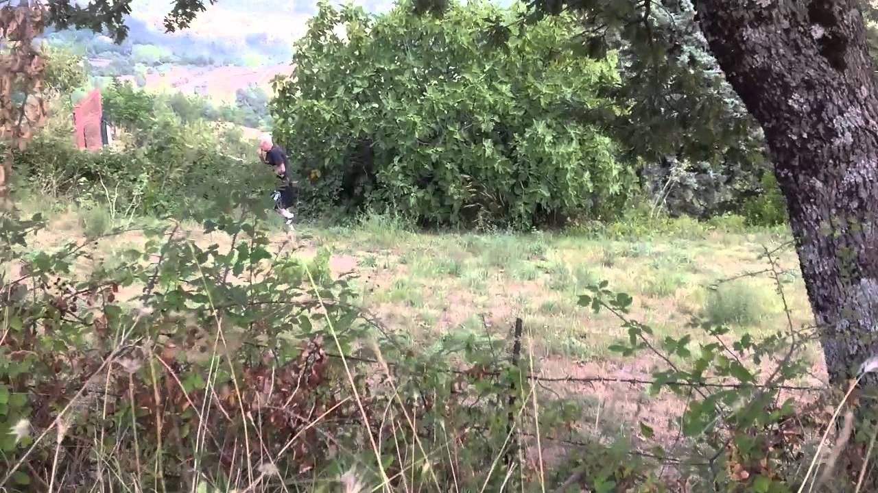 Malito 1