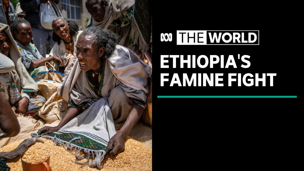 United Nations declares Ethiopia's Tigray region suffering famine conditions | The World