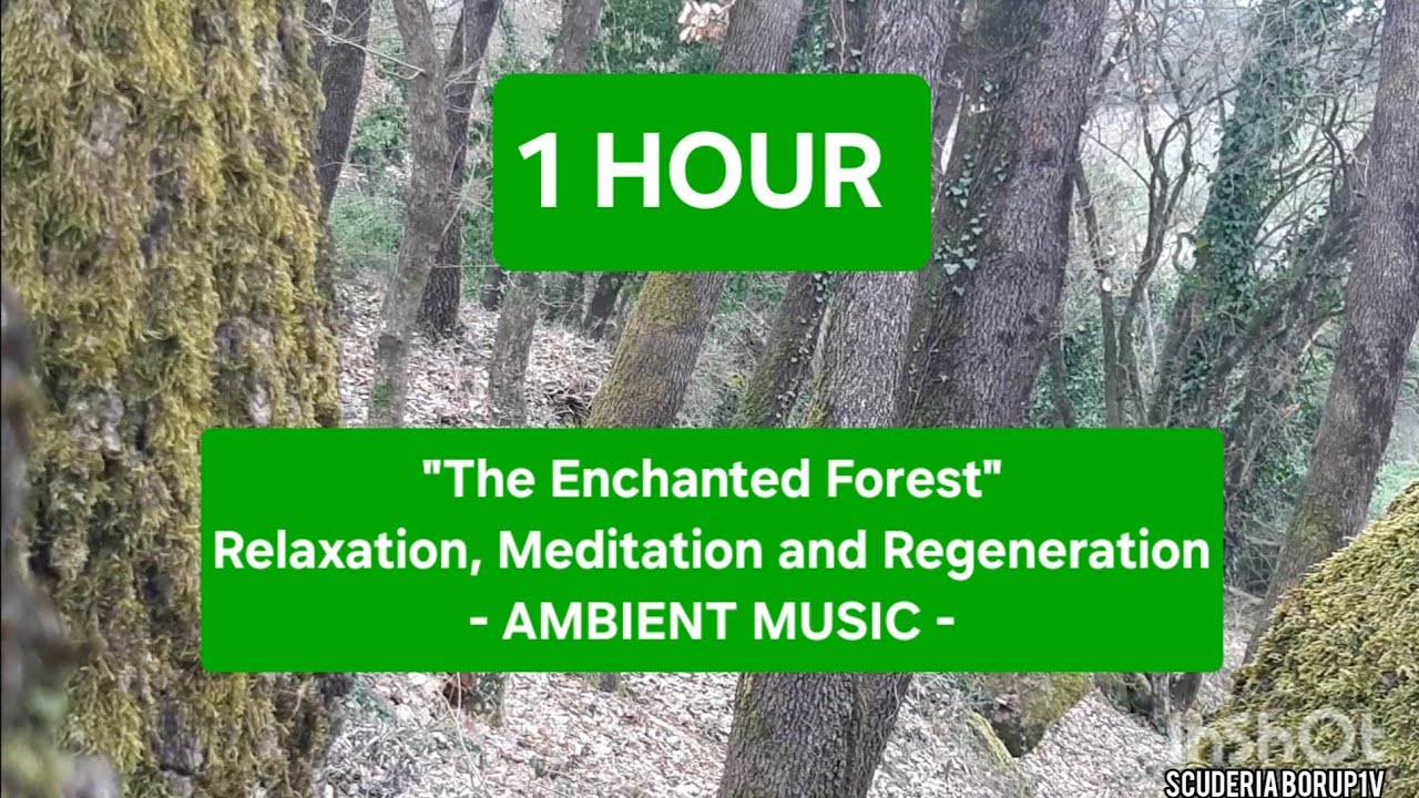1 HOUR | 