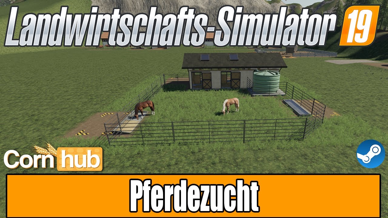 LS19 Modvorstellung - Pferdezucht - LS19 Mods