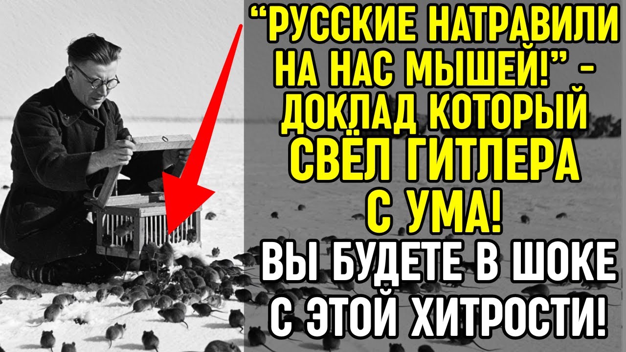 Как советский зоолог остановил ТАНКОВУЮ АРМИЮ с помощью... ПОЛЕВЫХ МЫШЕЙ!