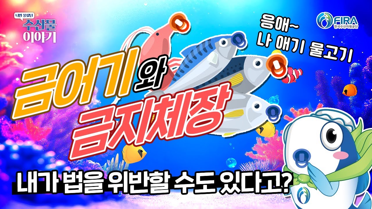 금어기와 금지체장, 내가 법을 위반할 수도 있다고?
