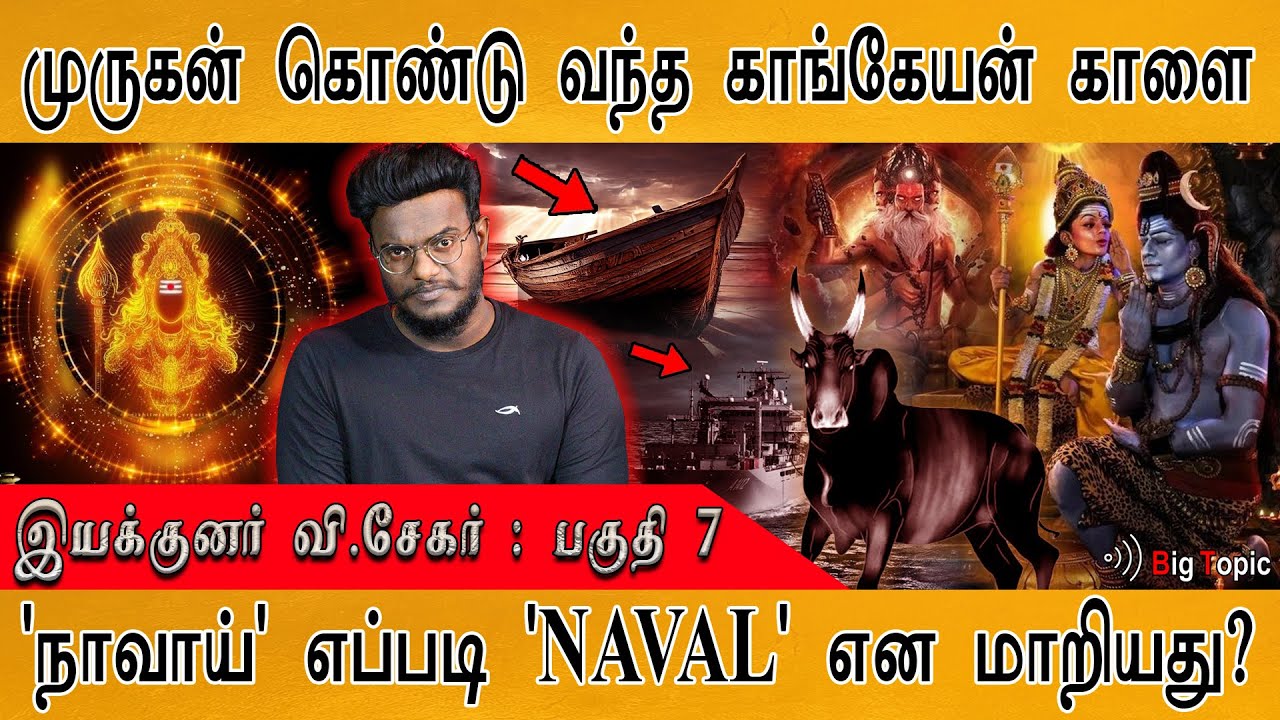 முருகன் தந்த காங்கேயன் காளை | Director V.Sekhar | Maamannan Murugan : Part 7 | 'நாவாய்' To 'NAVAL' |