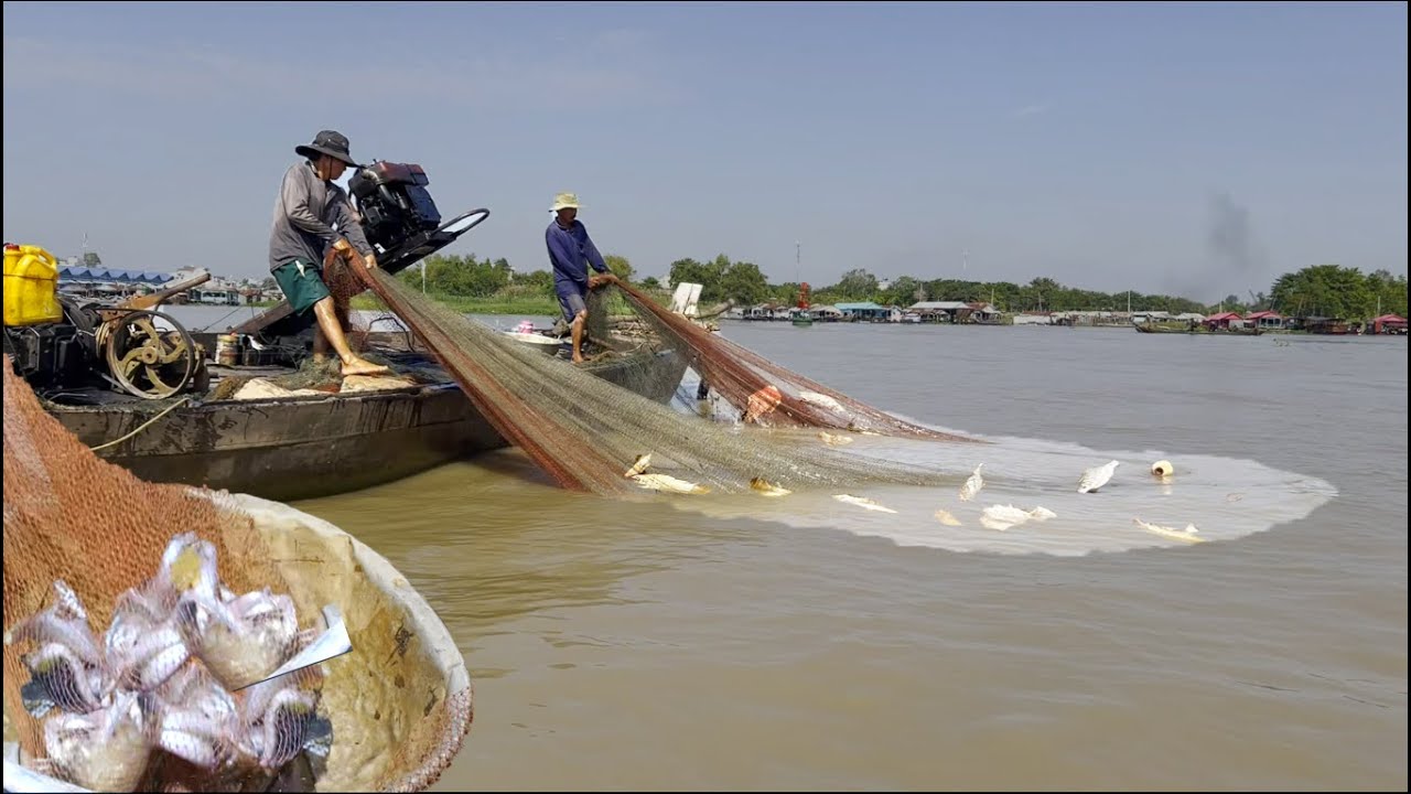 Nghề lưới đánh cá kết cực kì độc lạ trên vùng sông Hậu - Sông Nước Cửu Long - Nguyễn Hùng
