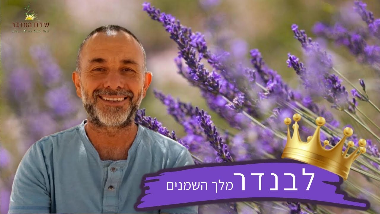 שמן לבנדר- מלך השמנים