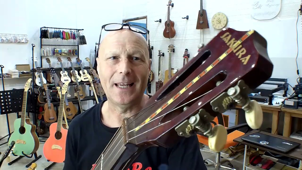 RoJoBe Music Irish Tenor Banjo project part 1